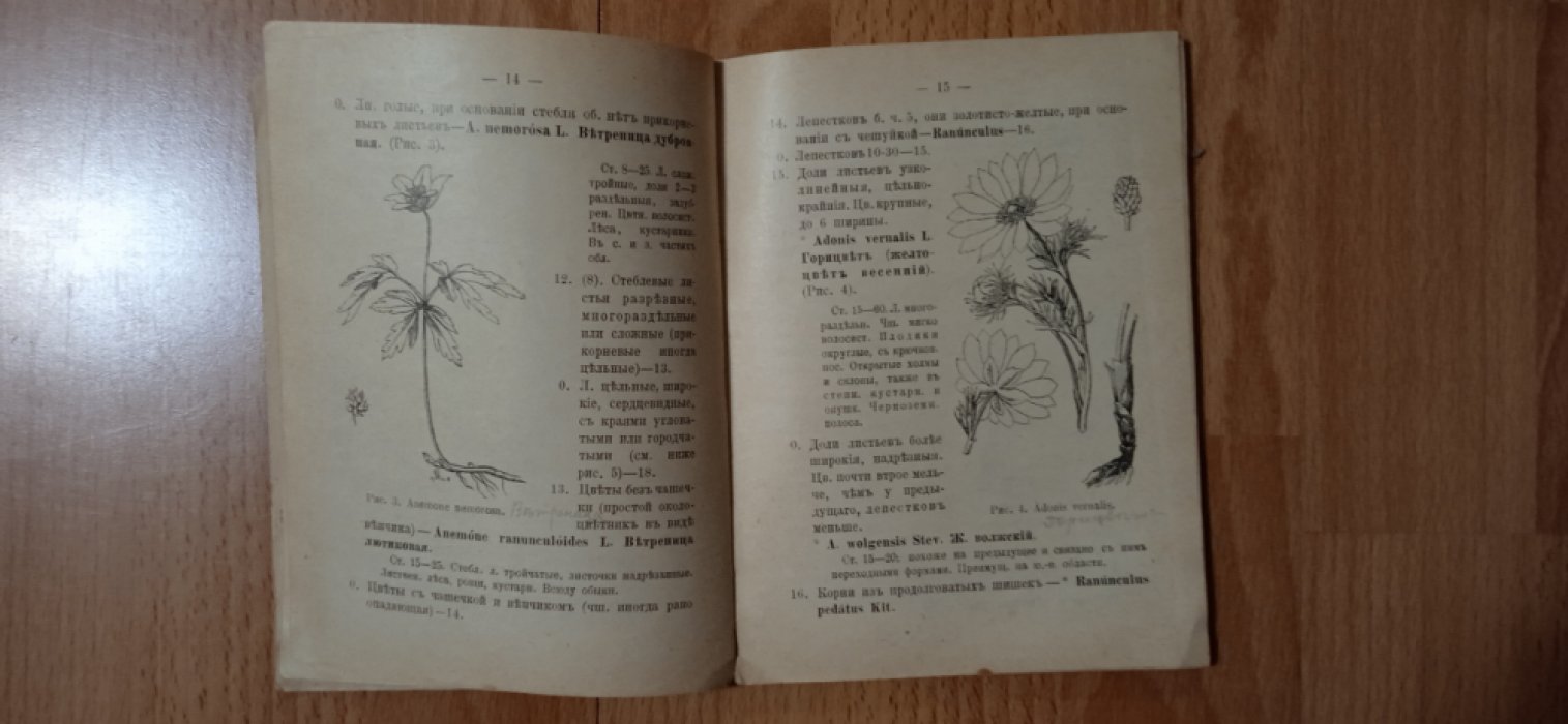 Маевский П. Весенняя флора Средней России. Таблицы для определения растений, цветущих в марте, апреле и начале мая.
