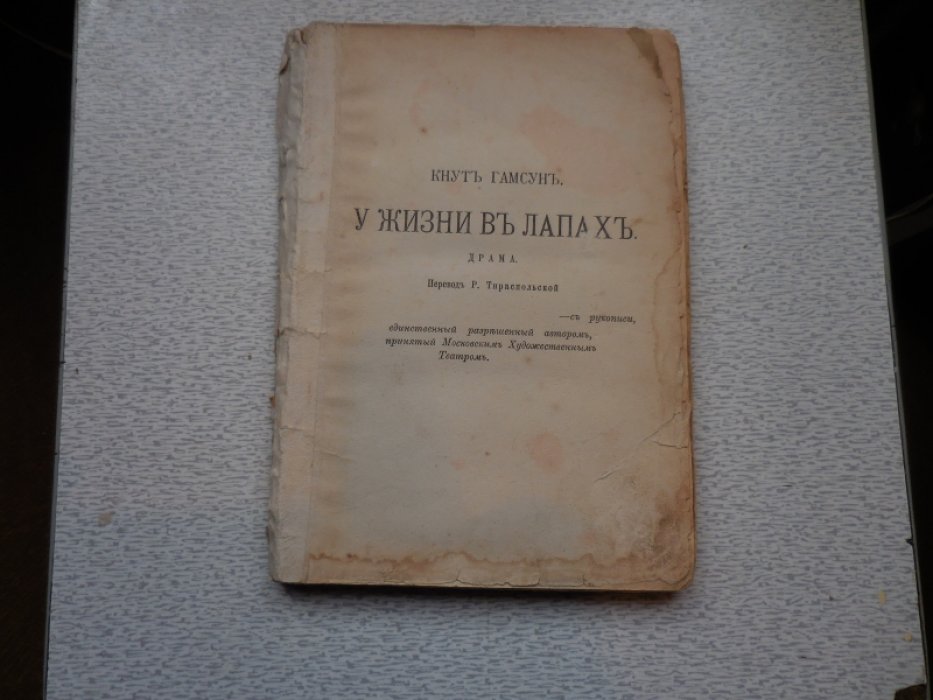 Гамсун К. У жизни в лапах.