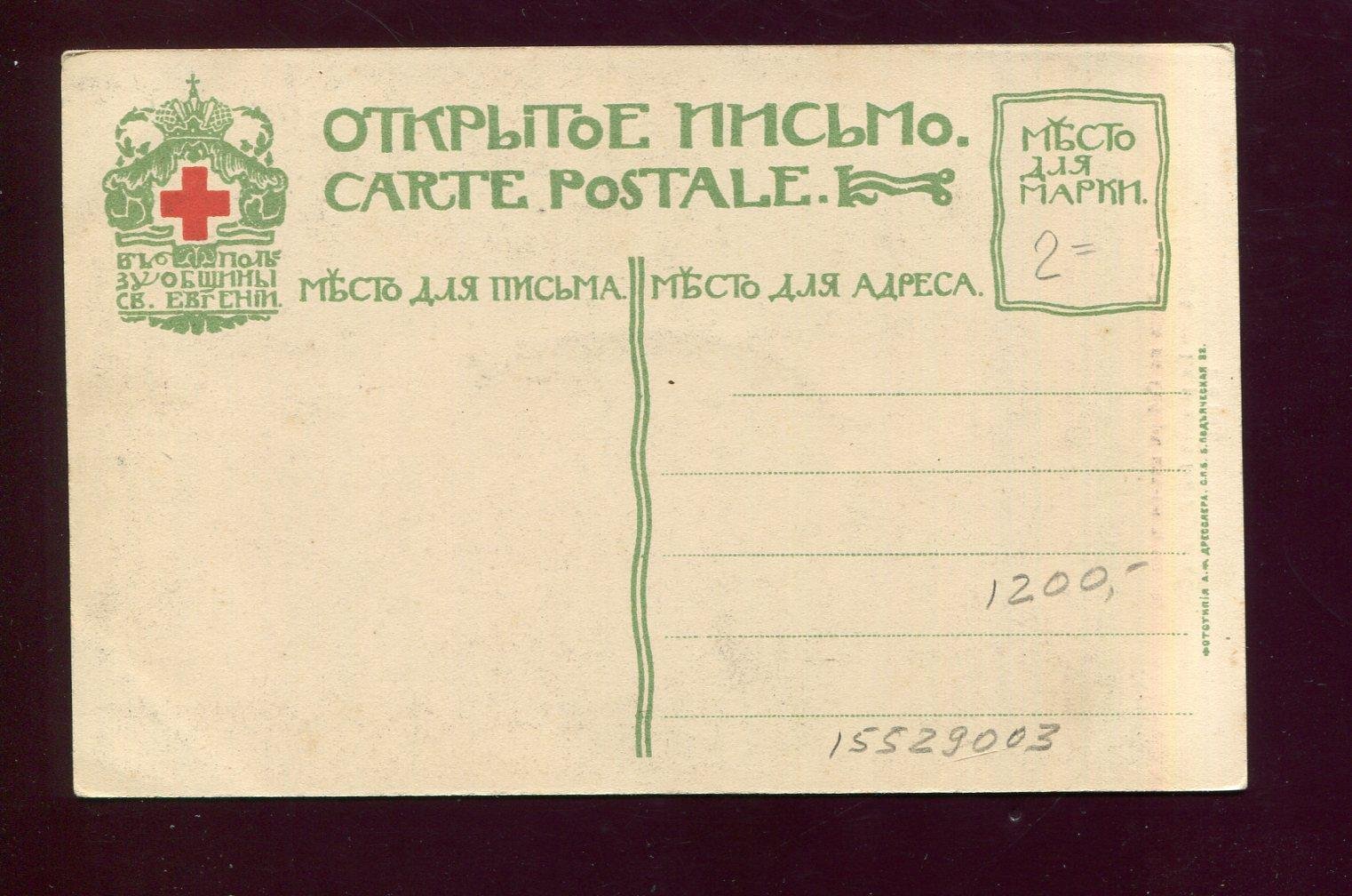 Луга. Вид на собор из-под моста.