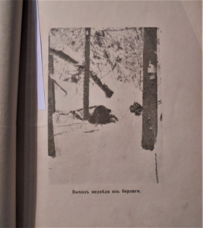 Природа и охота. 1910 г. Август.