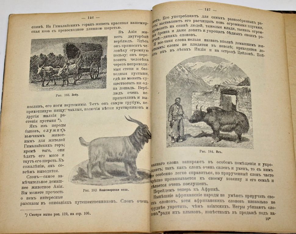 Бэр П. В царстве животных.