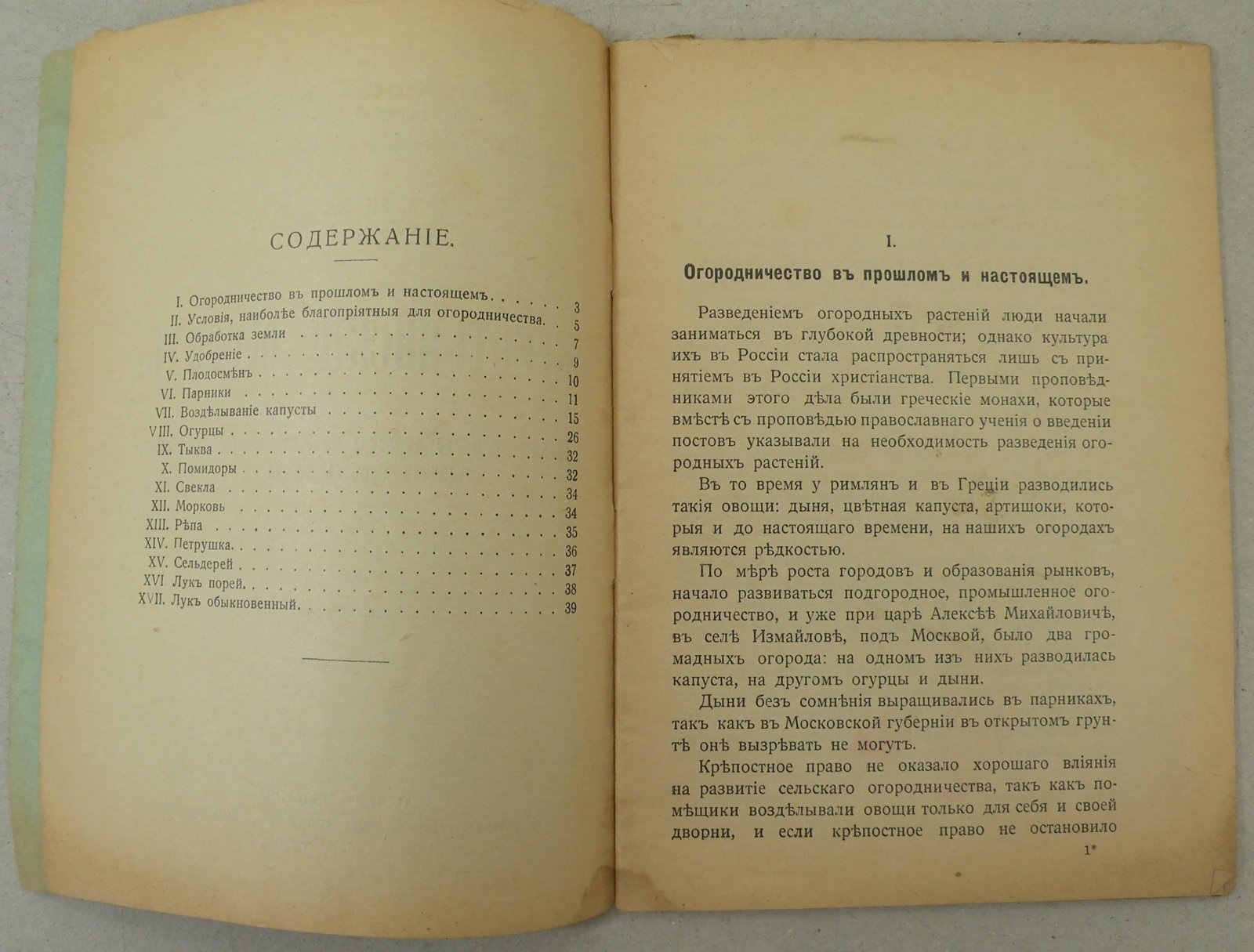 Билимович А.В. Крестьянский огород.