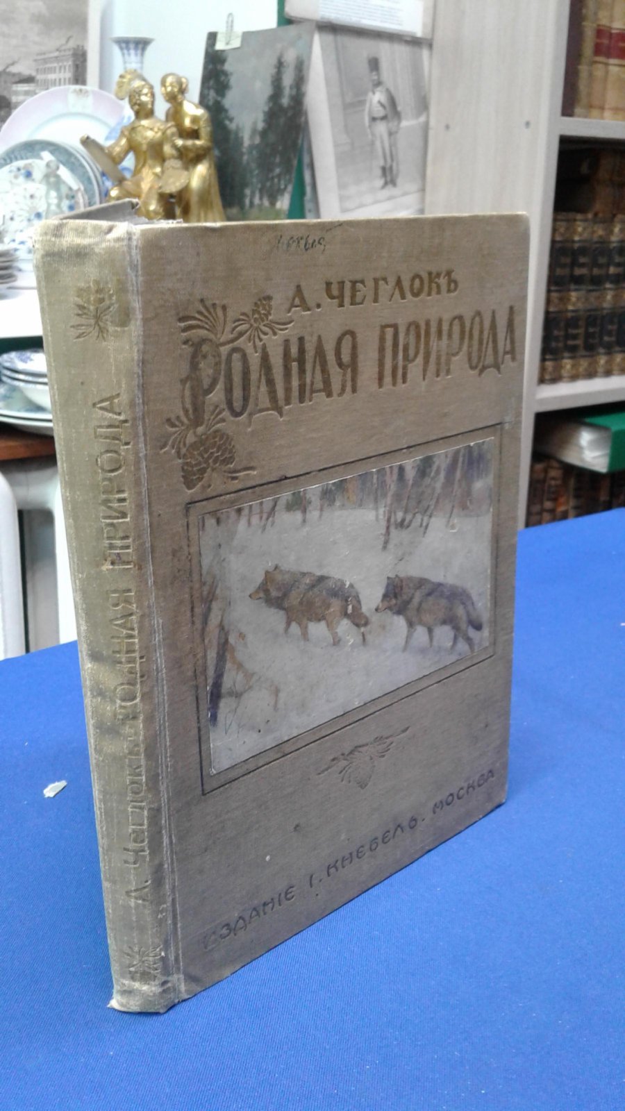 Чеглок А. Родная природа.