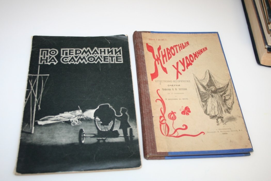 Зограф Н.Ф. Животные-художники.
