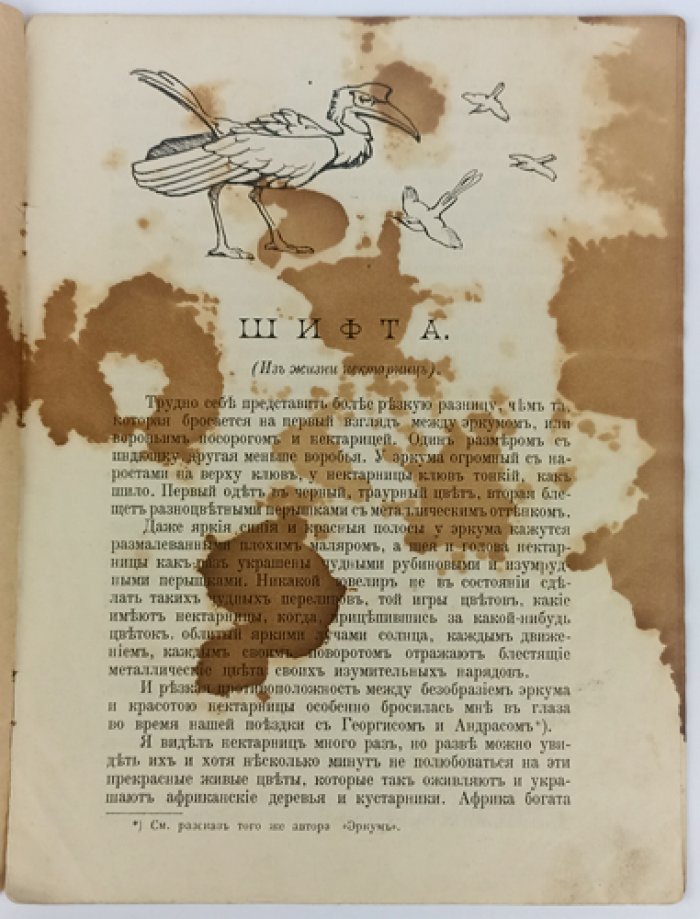 Чеглок А. Шифта (Из жизни нектарниц).