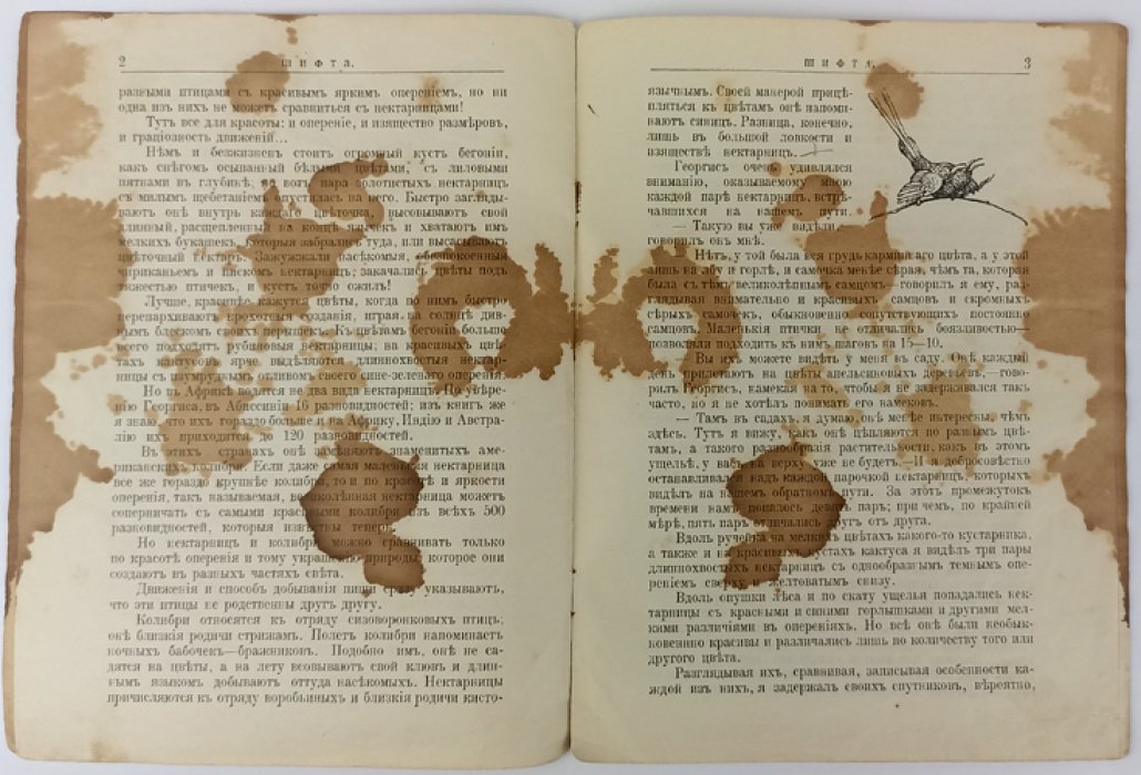 Чеглок А. Шифта (Из жизни нектарниц).