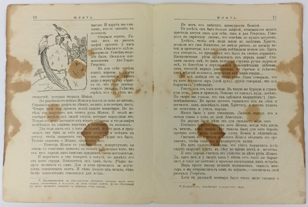 Чеглок А. Шифта (Из жизни нектарниц).