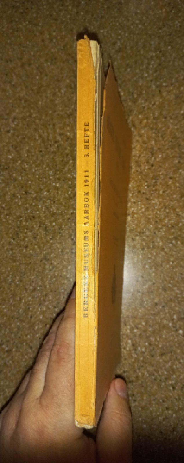 Труды музея Бергена. 1911. Документы и исследования
