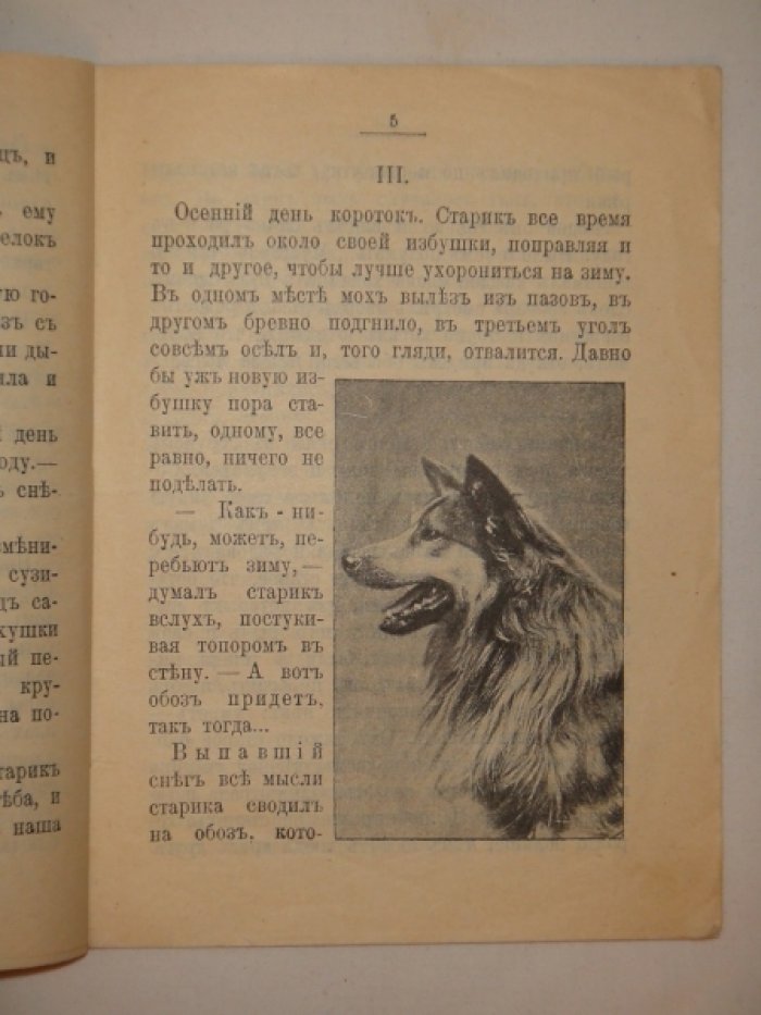 Тулупов Н., Шестаков П. Собаки на службе человеку.
