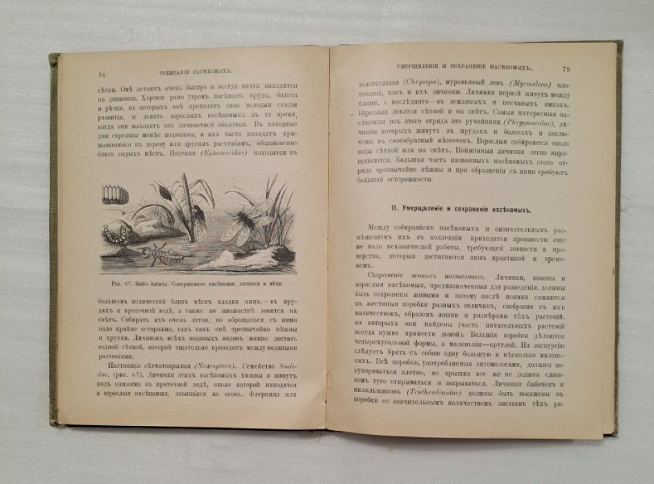 Ширяев Н.Н. Руководство к собиранию и сохранению насекомых.