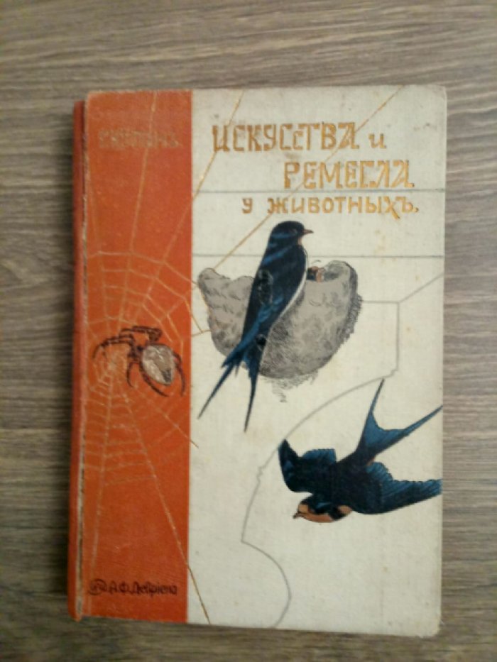 Купэн Г. Искусства и ремесла у животных. 