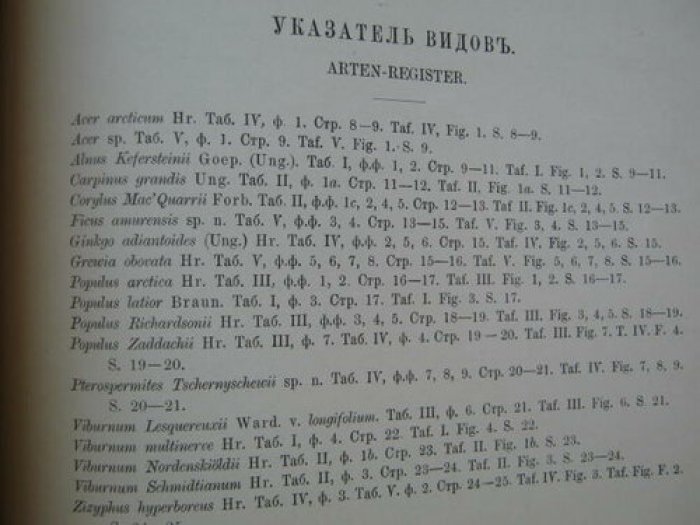 Константов С. Третичная флора белогорского обнажения в низовье р.Буреи -