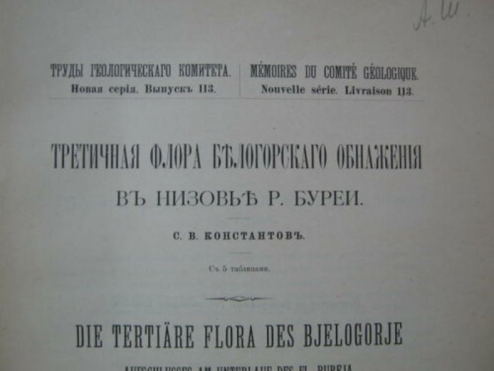 Константов С. Третичная флора белогорского обнажения в низовье р.Буреи -