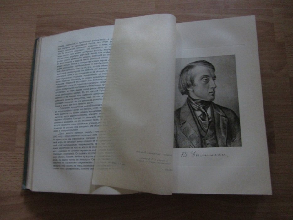 История русской литературы XIX в. Том II.