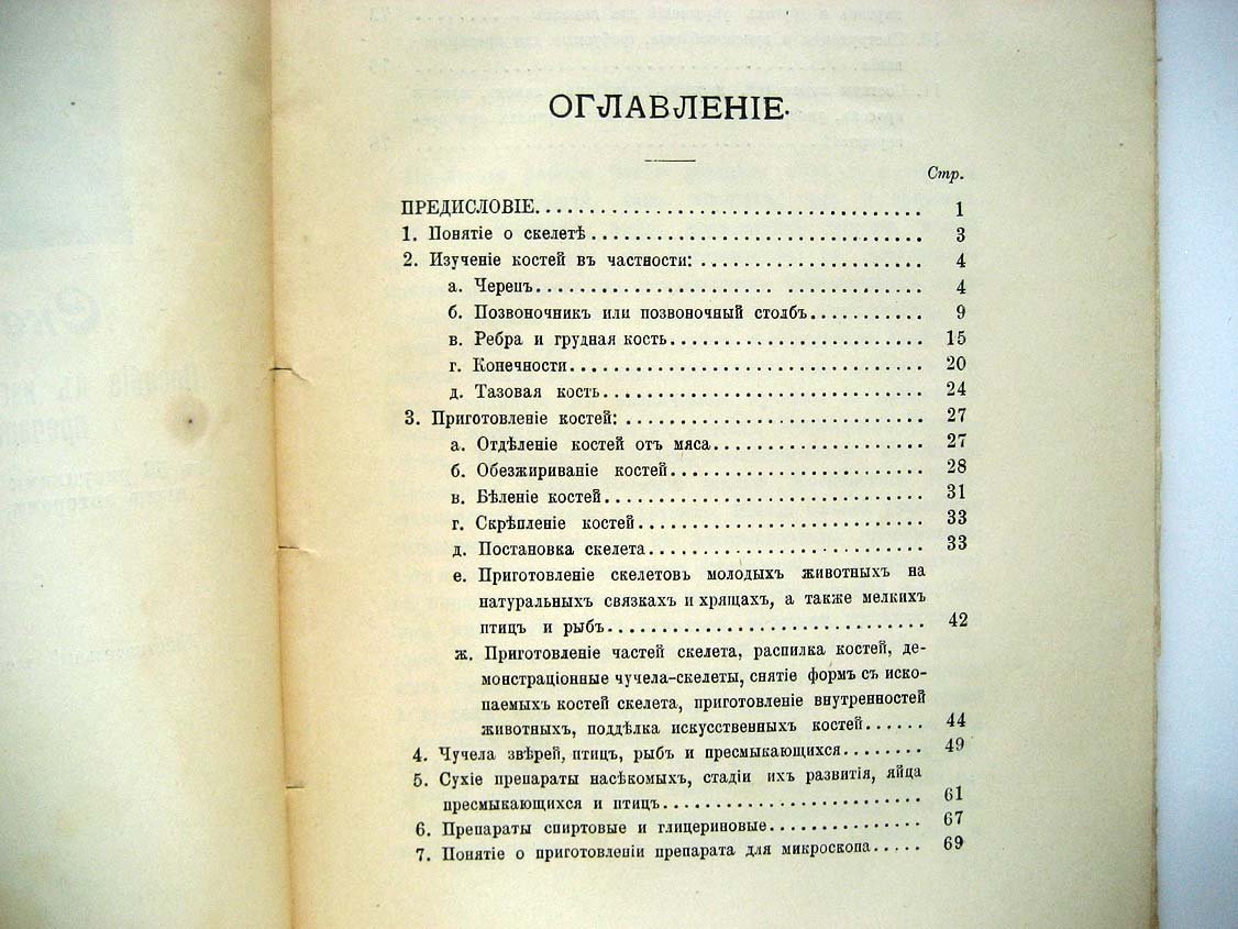 Андреев Н. Скелеты и чучела. Пособие к изготовлению