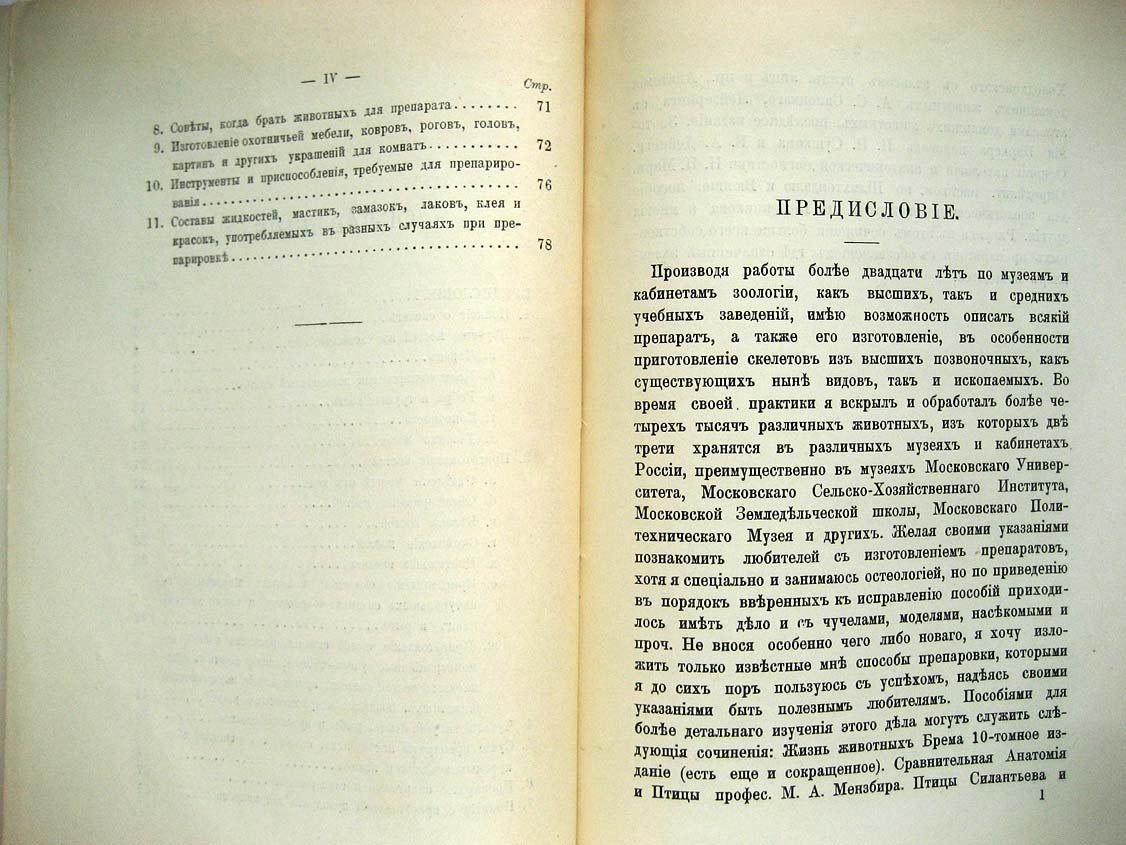 Андреев Н. Скелеты и чучела. Пособие к изготовлению