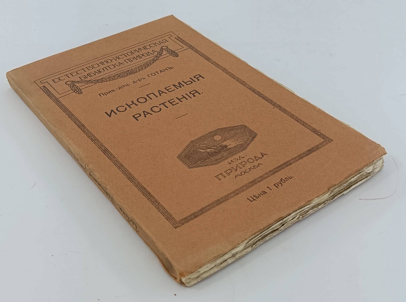 Готан. Ископаемые растения. Очерк растительного мира минувших геологических эпох с 89 рисунками.