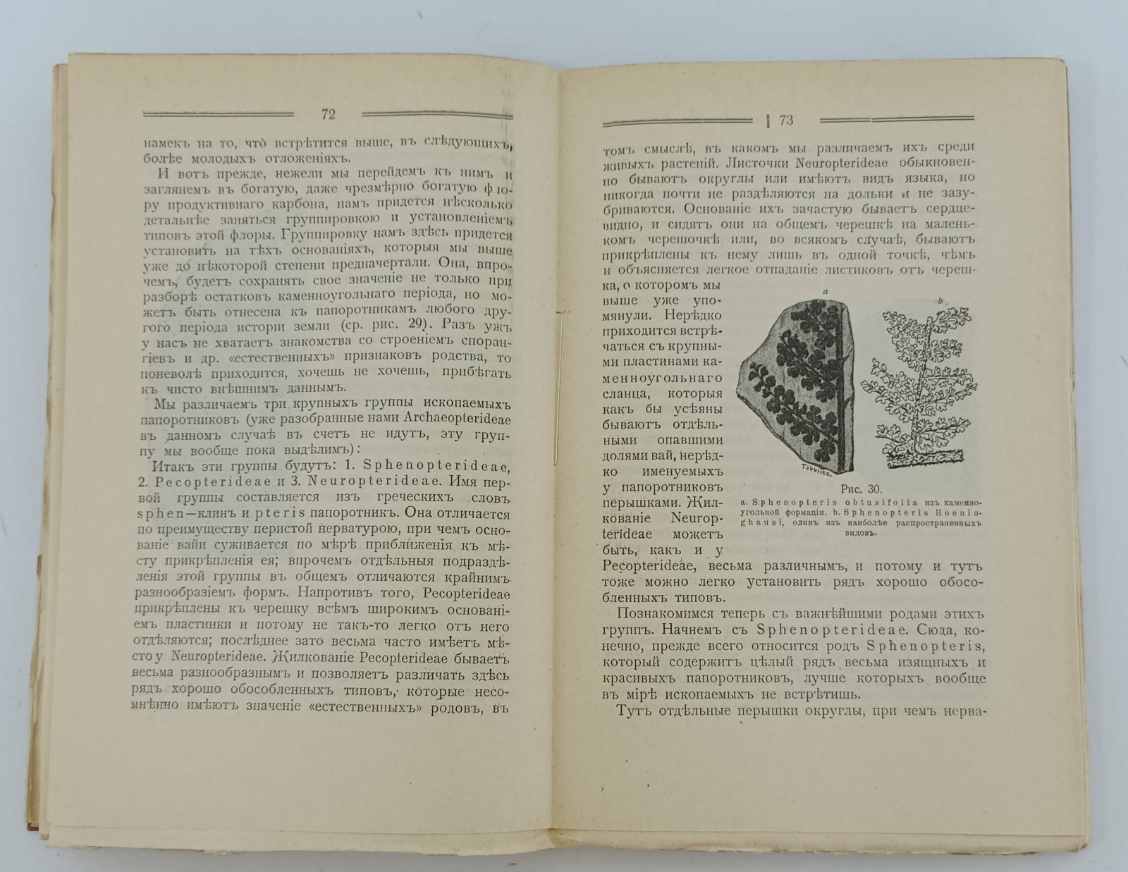 Готан. Ископаемые растения. Очерк растительного мира минувших геологических эпох с 89 рисунками.