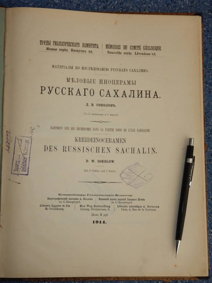 Соколов Д.В. Меловые иноцерамы русского Сахалина.