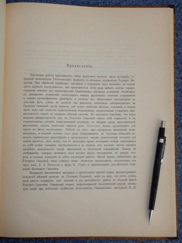 Соколов Д.В. Меловые иноцерамы русского Сахалина.