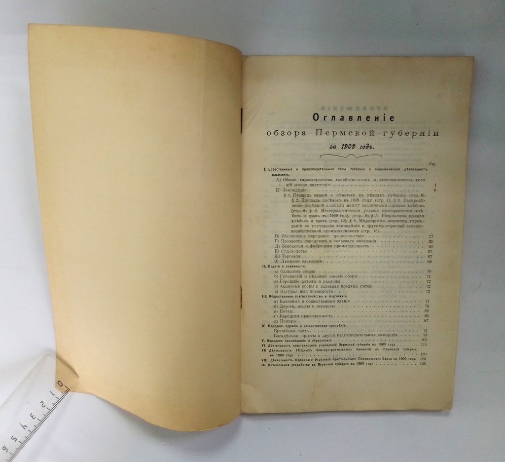 Обзор Пермской губернии за 1909 год.
