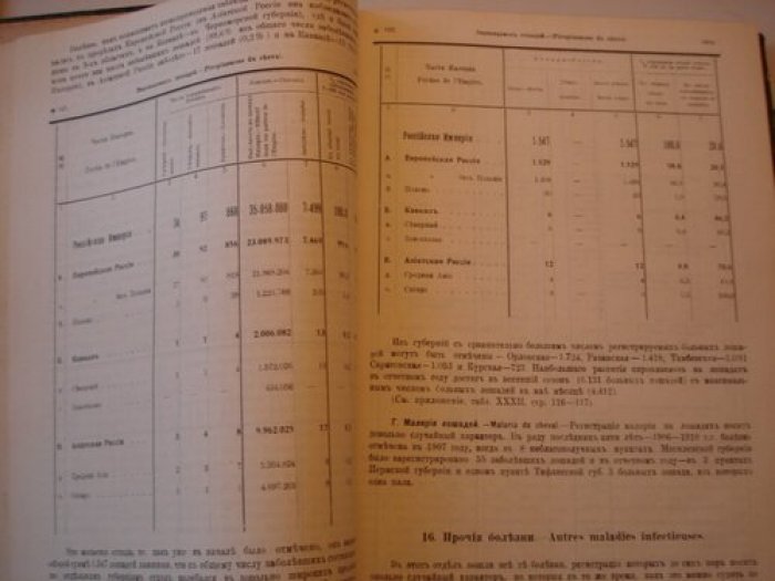 Отчет по ветеринарной части в России за 1910 г.