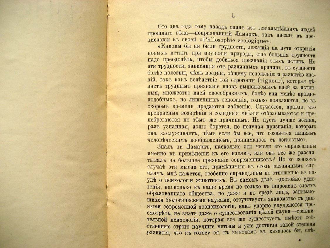 Елачич Е. Инстинкт.