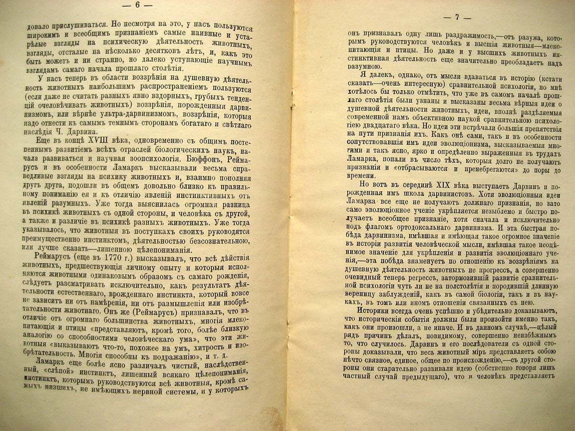 Елачич Е. Инстинкт.