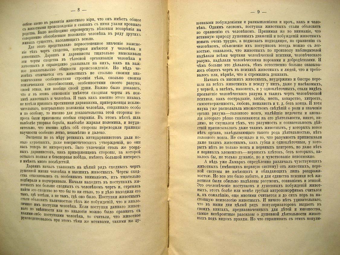 Елачич Е. Инстинкт.