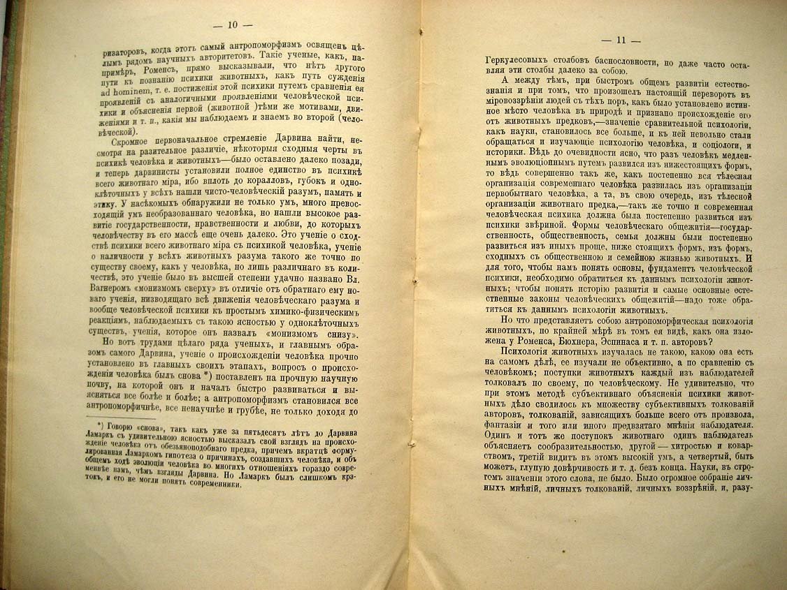 Елачич Е. Инстинкт.