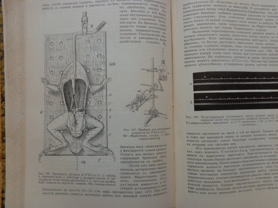 Артур Бидль (Artur Biedl). Внутренняя секреция, ее физиологические основы и значение для патологии. В двух томах, в одном переплете (Комплект).