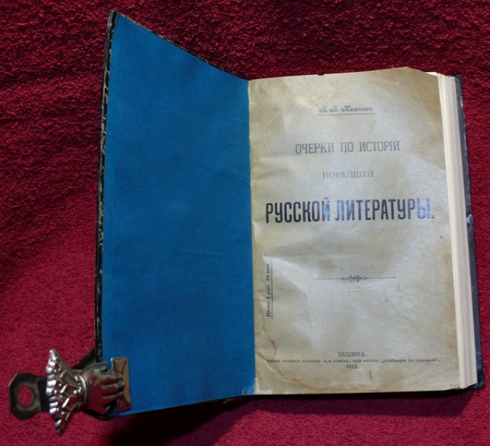 Каллаш В.В. Очерки по истории новейшей русской литературы.