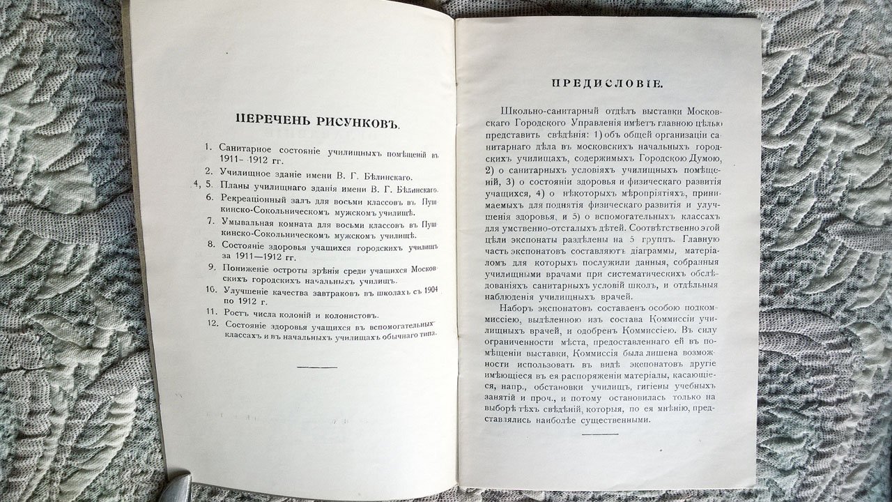 Обзор школьно-санитарного отдела врачебно-санитарной организации г. Москвы.