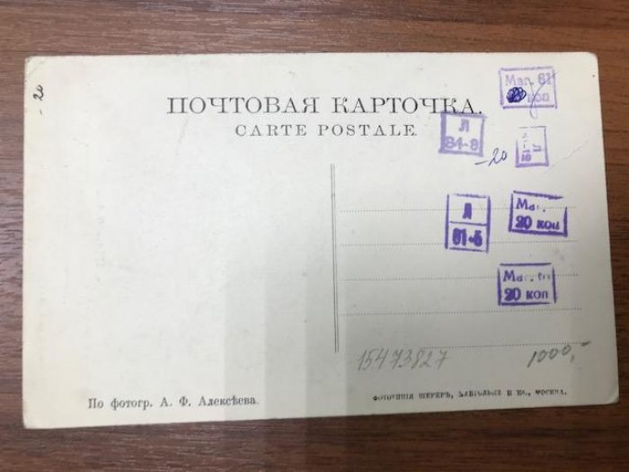 С.-Петербург. Императорский Ботанический Сад Петра Великого. Группа плакучих лиственниц.