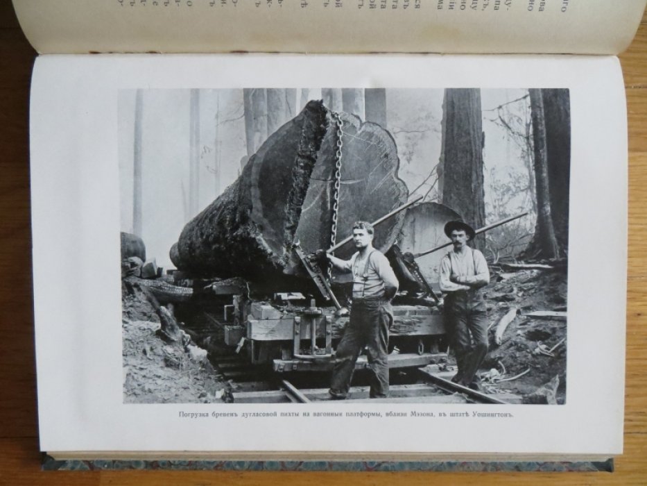 Ежегодник лесного департамента. 1912. Том I.