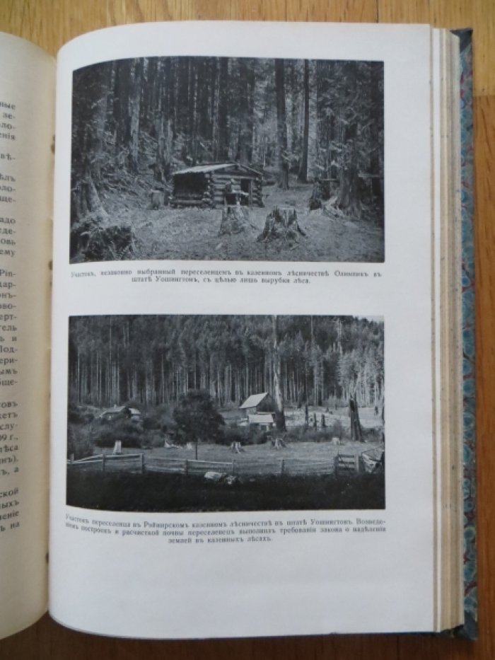 Ежегодник лесного департамента. 1912. Том I.