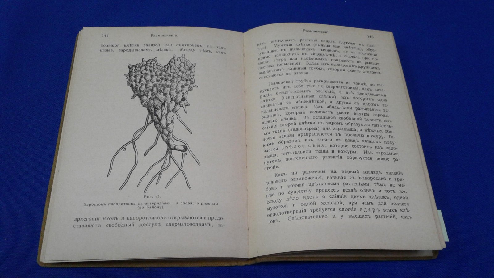 Ганзен А. Физиология растений. С 43 рисунками.