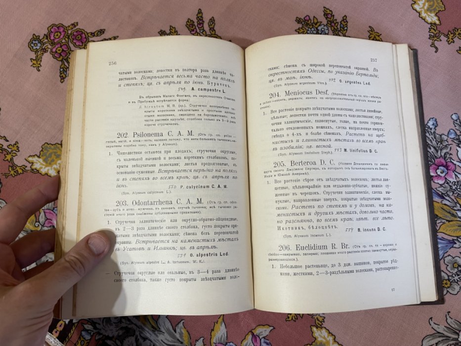 Шестириков П.С. Определитель растений окрестностей Одессы.