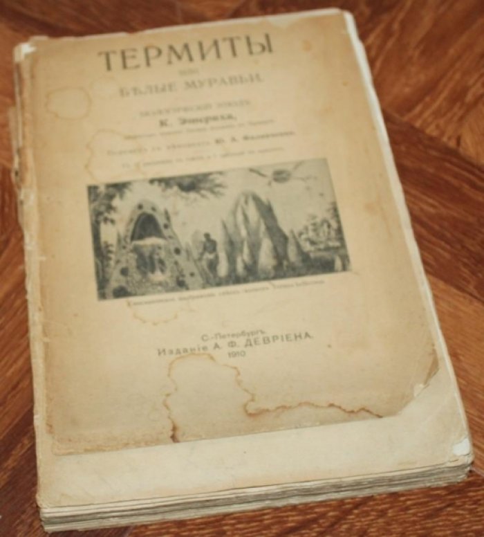 Эшерих К. Термиты, или Белые муравьи.