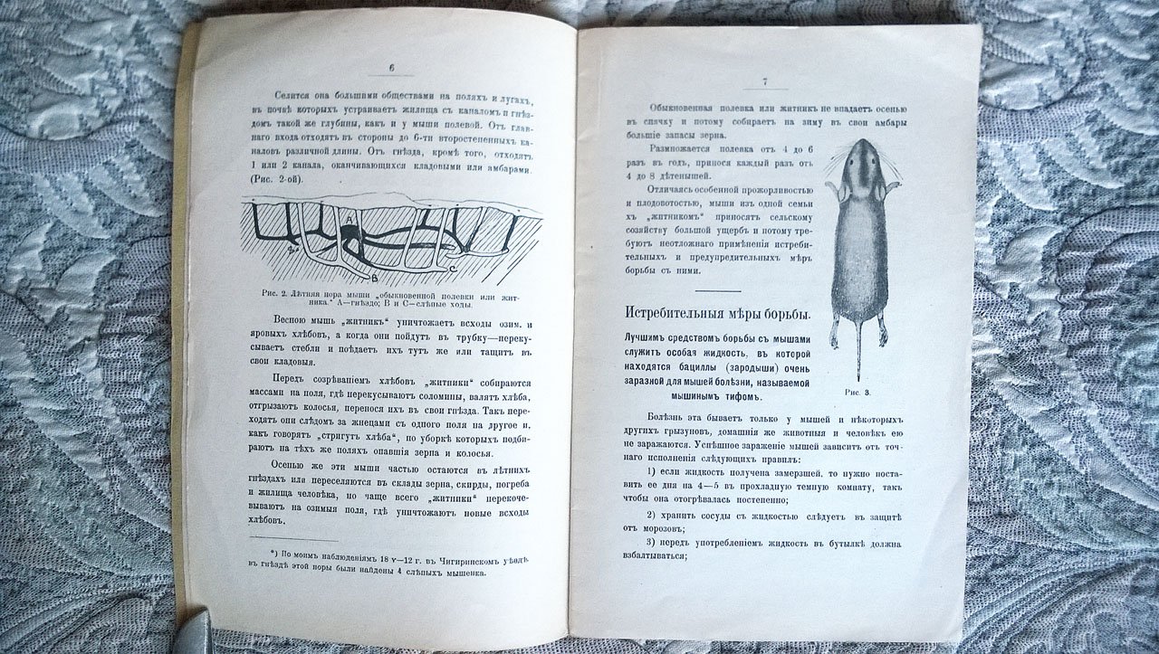 Журин С.А. Грызуны - мыши, крысы и суслики - вредители хлебных растений и зерна и меры борьбы с ними.