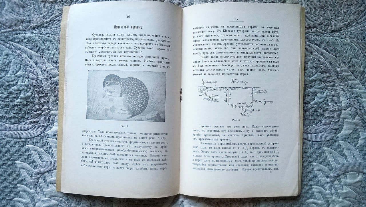Журин С.А. Грызуны - мыши, крысы и суслики - вредители хлебных растений и зерна и меры борьбы с ними.