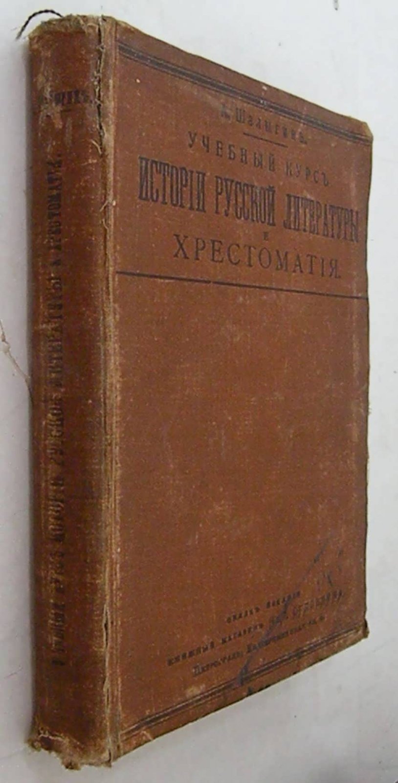 Шалыгин А. Учебный курс истории русской литературы.