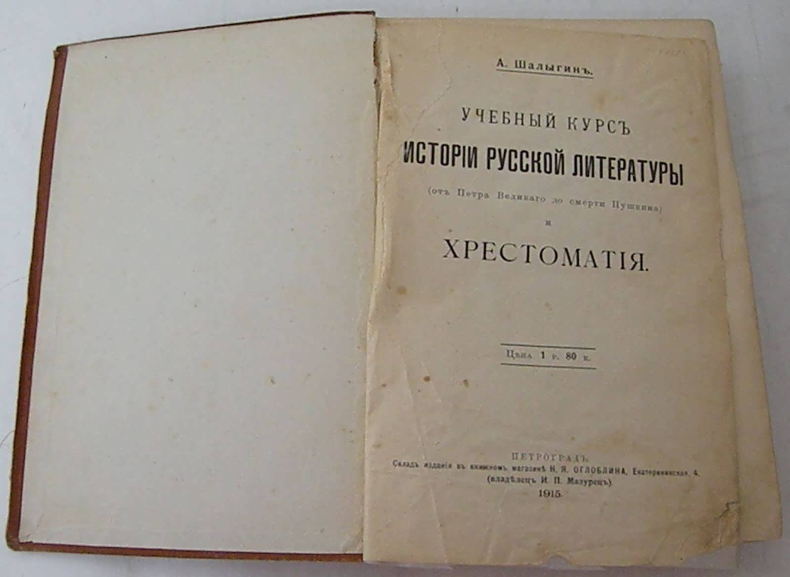 Шалыгин А. Учебный курс истории русской литературы.