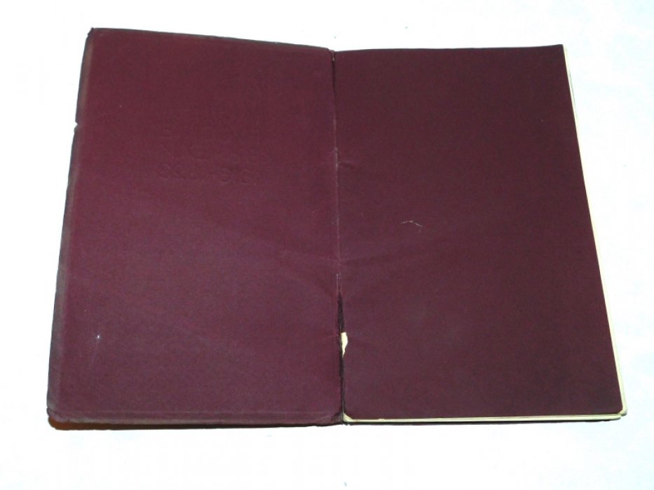 Русские в Чехии. 1813-1823.