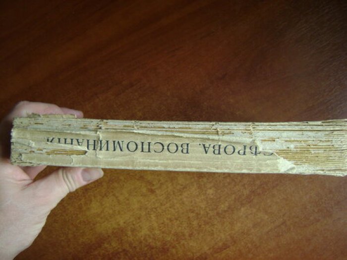 Серова В.С. Серовы, Александр Николаевич и Валентин Александрович.