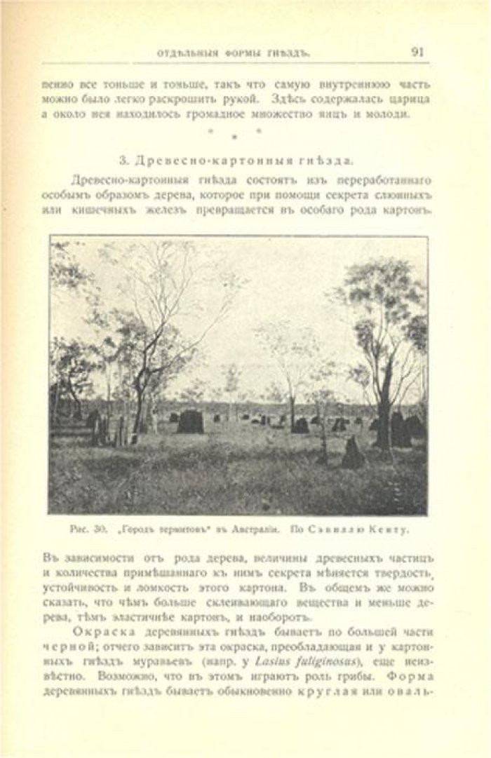 Эшерих, К. Термиты или Белые муравьи.