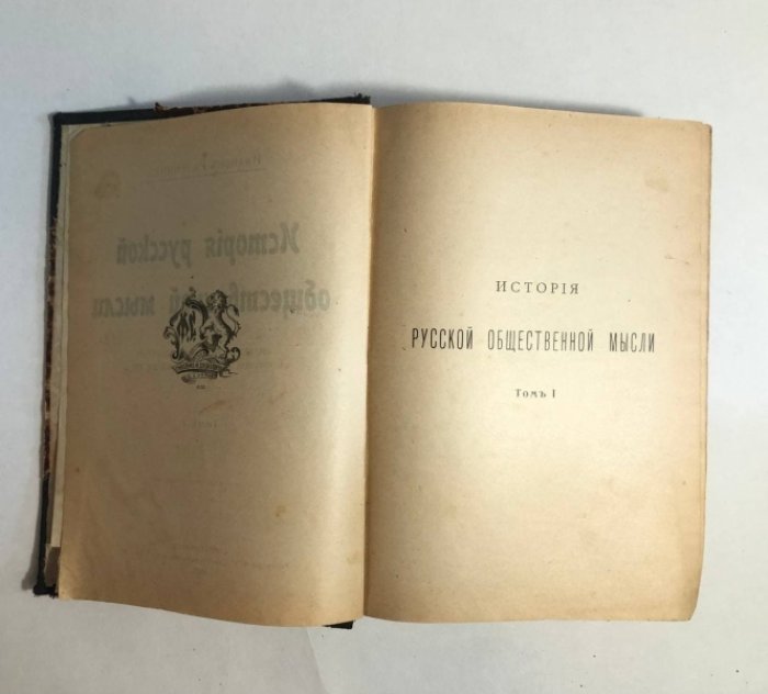 Иванов-Разумник. История русской общественной мысли в 2 томах. Индивидуализм и мещанство в русской литературе и жизни 19 века.