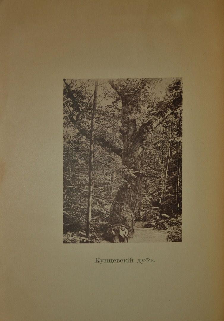Тимирязев, К.А. проф. Жизнь растения.