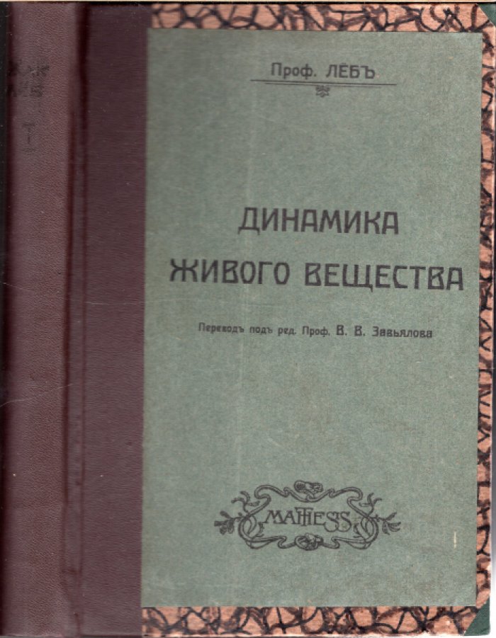 Леб Дж. Динамика живого вещества.
