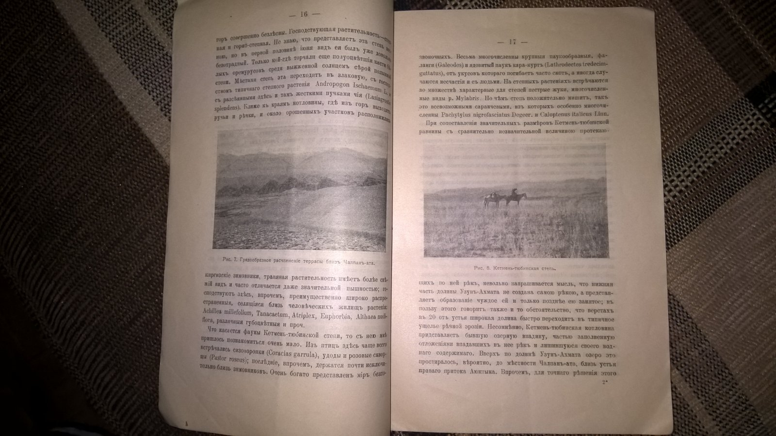 Щукин И.С. Поездка в горы Наманганского уезда (Тянь-шань) летом 1914 года.